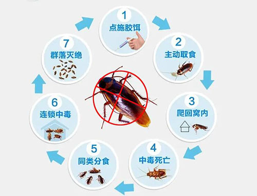 分享臭蟲防治的方法